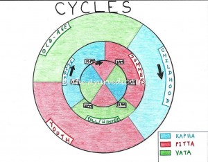 cycles2