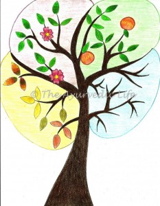 Seasons - summer, fall, winter, spring