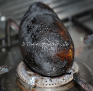 Raw Mango - Burnt