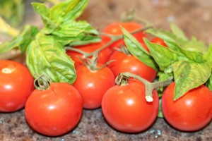 Tomato Basil Pasta Sauce - Ingredients