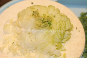 Soya Veggie Balls - Onions