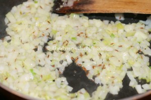 Soya Veggie Balls - Onions Cooking