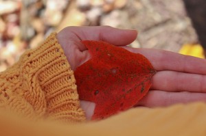 warm_clothes