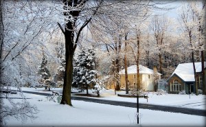 winter