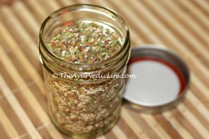 Digestive Aid