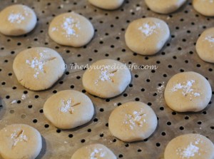 Nan Khatai - Ready to Bake