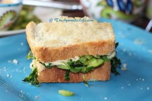 Bread - Panini