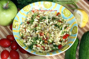 Dry Bhel
