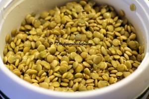 Sprouted Green Lentils